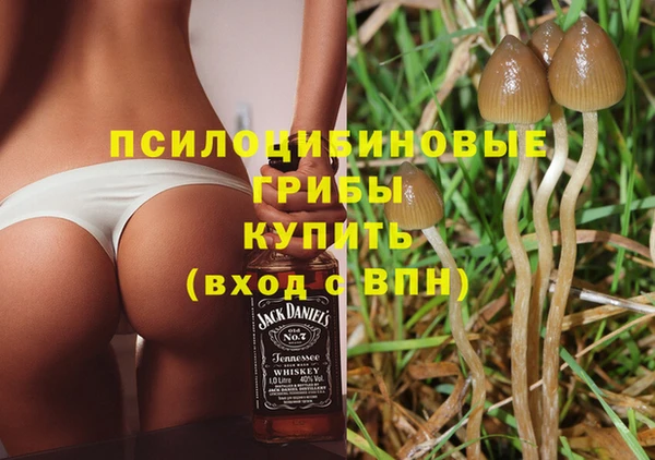 ALPHA-PVP Верхний Тагил